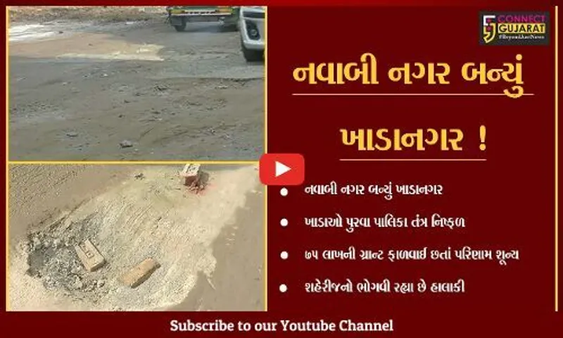 બનાસકાંઠા: પાલનપૂર શહેર બન્યું ખાડાનગર, રૂ.75 લાખની ગ્રાન્ટ ફાળવાય છતા પરિણામ શુન્ય