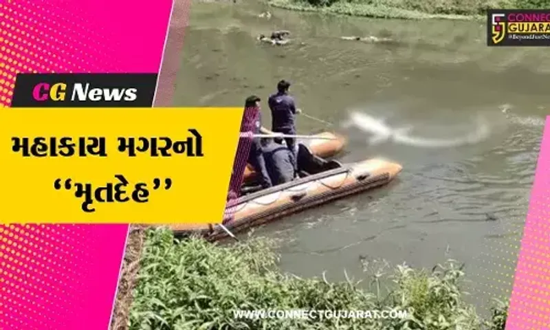 વડોદરા : વિશ્વામિત્રી નદીમાંથી 15 ફૂટ લાંબા મહાકાય મગરનો મૃતદેહ મળ્યો, વનવિભાગે તપાસ હાથ ધરી...