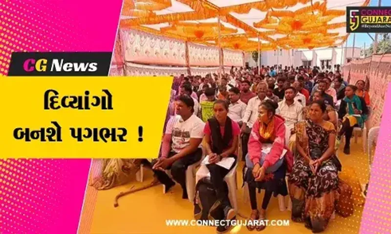 સાબરકાંઠા: રોજગાર વિભાગ દ્વારા દિવ્યાંગ ભરતી મેળાનું કરાયું આયોજન,250 દિવ્યાંગોએ લીધો લાભ