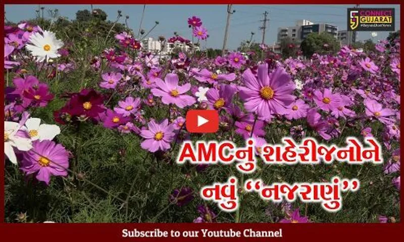 અમદાવાદ : કશ્મીરના શાલીમાર ગાર્ડનની તર્જ પર કોસમોસ વેલી ગાર્ડન તૈયાર, શહેરીજનો માટે બન્યું નવું નજરાણું...