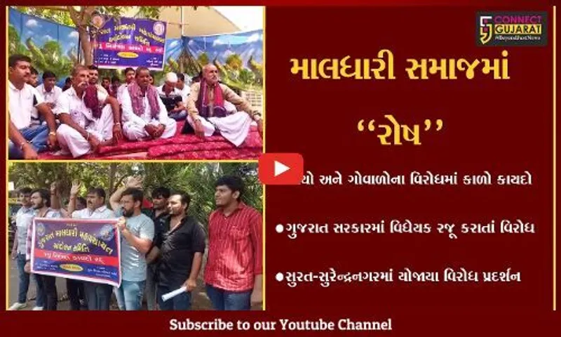રખડતાં ઢોર નિયંત્રણ બિલ મુદ્દે માલધારી સમાજમાં રોષ, રાજ્યભરમાં યોજાયા વિરોધ પ્રદર્શન...