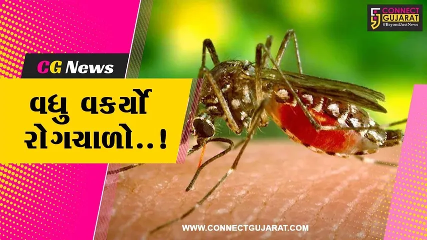 સુરત : છેલ્લા 3 મહિનામાં ડેન્ગ્યૂ-મલેરિયાના કેસ 4 ગણા વધ્યા, તંત્રની બેદરકારીથી વકરી રોગચાળાની સ્થિતિ..!
