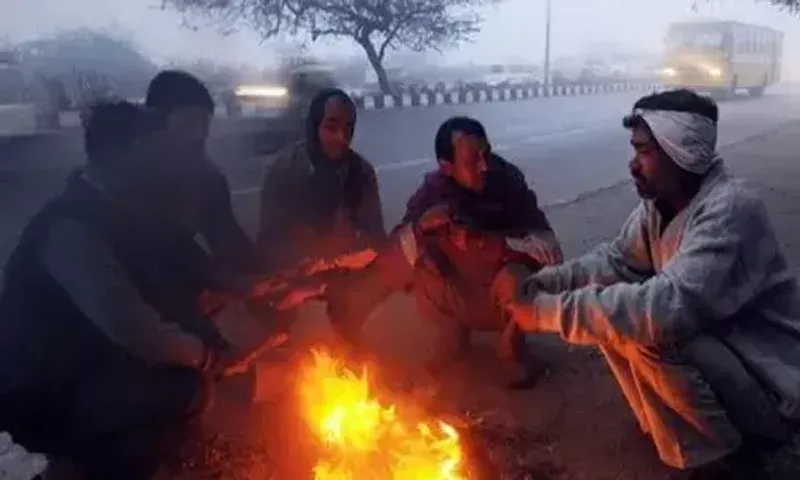 દિલ્હી, યુપી, બિહાર અને ઉત્તરાખંડ સહિત ઘણા રાજ્યોમાં પડી રહી છે તીવ્ર ઠંડી, વાંચો હવામાન અપડેટ...