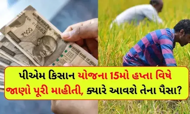 ખેડૂતોના ખાતામાં આજે આવશે PM કિસાન યોજનાનો 15મો હપ્તો, 4 કરોડ ખેડૂતોને નહીં મળે આ લાભ, જાણો કેમ....
