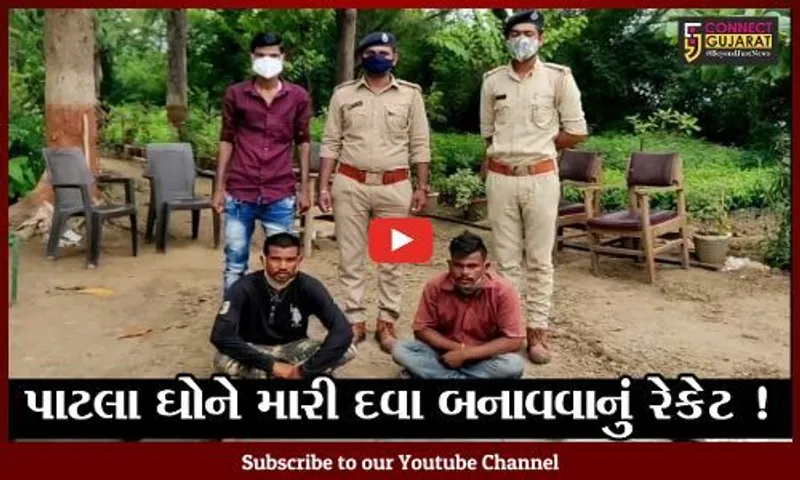વડોદરા: 11 મૃત પાટલા ઘો સાથે 2 શિકારી ઝડપાયા