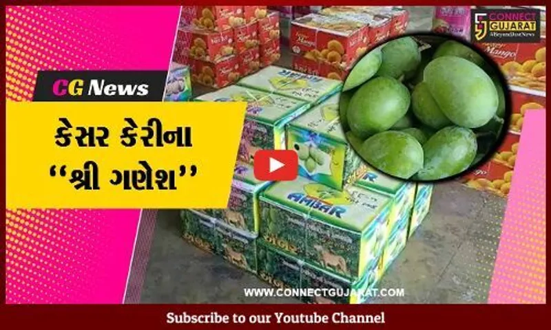 જુનાગઢ : કેરીના રસિયાઓ માટે ખુશીના સમાચાર, માર્કેટિંગ યાર્ડમાં કેસર કેરીની આવકના “શ્રી ગણેશ”