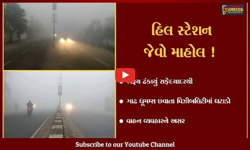 ભરૂચ: ગાઢ ધૂમમ્સ છવાતા વિઝિબીલિટીમાં ઘટાડો,જુઓ હિલ્સસ્ટેશન જેવો માહોલ