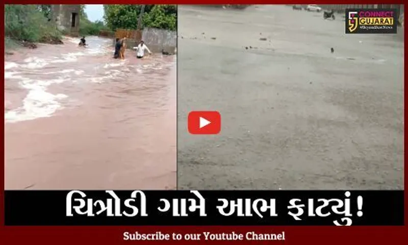 સુરેન્દ્રનગર: હળવદના ચિત્રોડી ગામમાં આભ ફાટયું, પશુઓ પાણીમાં તણાયા