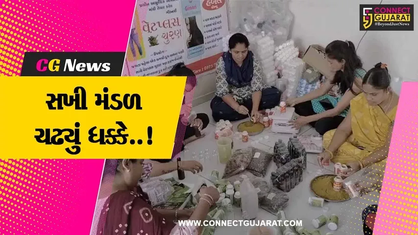 સાબરકાંઠા : સખી મંડળની બહેનોને સ્ટોલ નહીં આપી સરકારી અધિકારીઓનું બેહૂદુ વર્તન..!