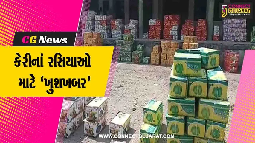 ગીર સોમનાથ : તાલાળા ગીર ખાતે કેસર કેરીની હરાજીનો પ્રારંભ. જગ વિખ્યાત ગીરની કેસર કેરી માર્કેટમાં છલકાય