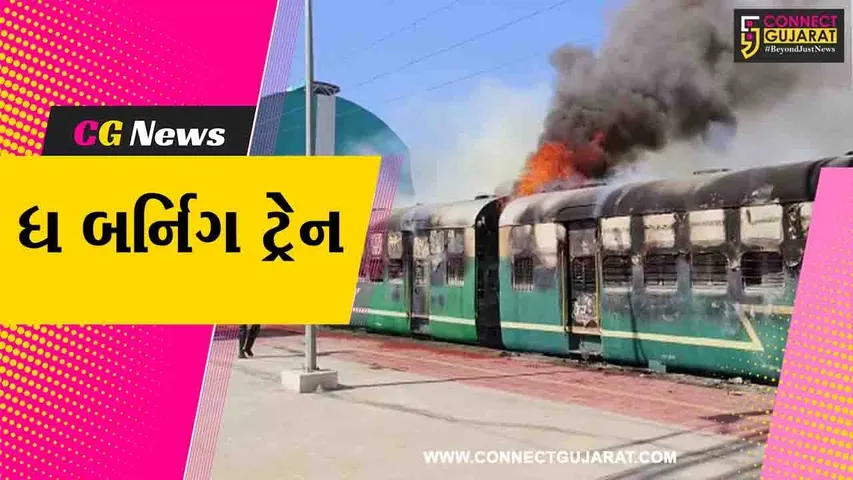 બોટાદ : પ્લેટફોર્મ નંબર 7 પર ઊભેલી બોટાદ-ધ્રાંગધ્રા ડેમુ ટ્રેનમાં લાગી વિકરાળ આગ, 3 ડબ્બા આગમાં બળીને ખાખ