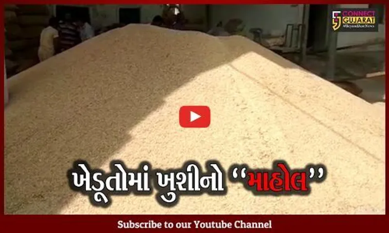 મહીસાગર : લુણાવાડા APMCમાં ટેકાના ભાવે ડાંગરની ખરીદી, રૂ. 88 વધુ મળતા ખેડૂતોમાં ખુશી