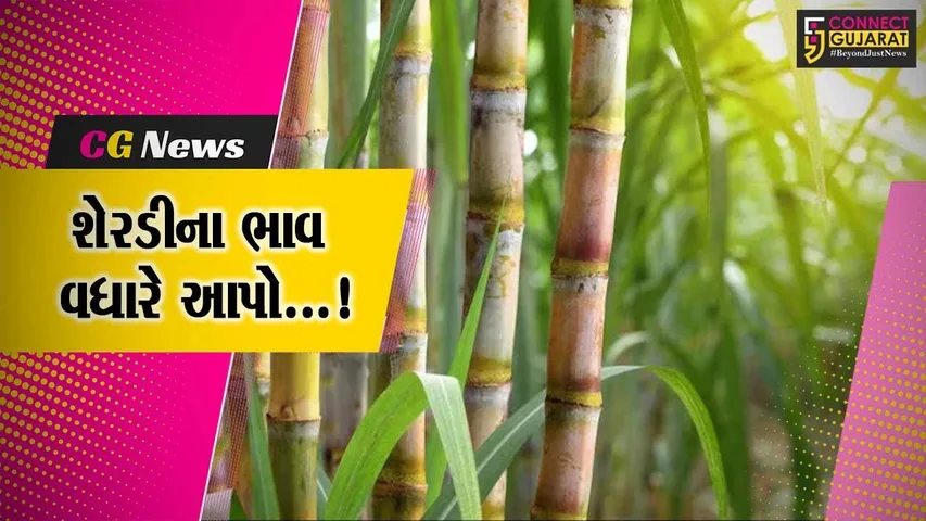 ભરૂચ:વટારીયા સુગર ફેકટરી દ્વારા શેરડીના ઓછા ભાવ અપાયા હોવાના આક્ષેપ, સભાસદોએ વિરોધ નોંધાવ્યો