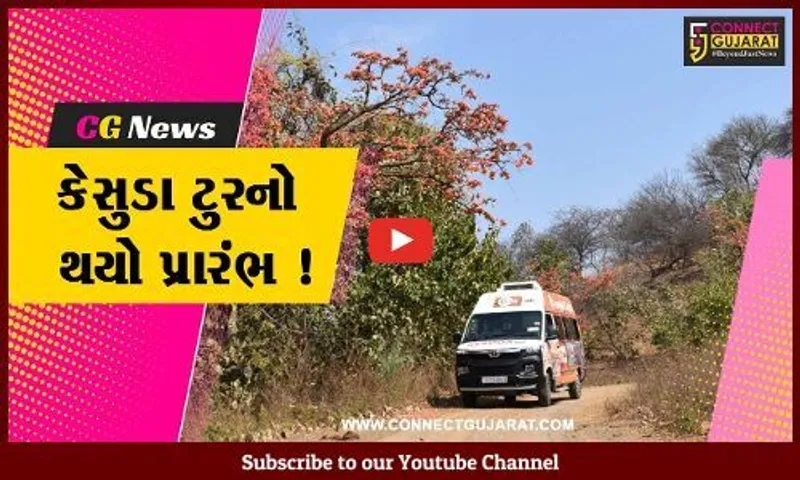 નર્મદા: સ્ટેચ્યૂ ઓફ યુનિટી કેસુડા ટુરનો થયો પ્રારંભ, જંગલની મુલાકાત લઈ મન થશે પ્રફુલ્લિત