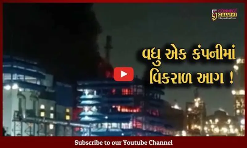 ભરૂચ: દહેજની રોહા ડાયકેમ કંપનીના થર્મિક ફિટર પ્લાન્ટ સેક્શનમાં લાગી હતી આગ,6 ફાયર ટેન્ડરોએ આગ પર મેળવ્યો કાબૂ