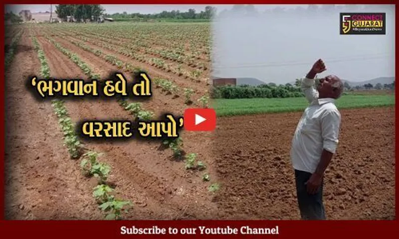 સાબરકાંઠા : ખેડૂતોની આજીજી..!વરસાદની રાહ જોતા પાકને ભારે નુકસાન થવાની ભીતિ