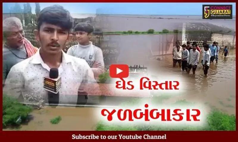 જુનાગઢ: મેઘરાજાએ ધેડ પંથકમાં વરસાવ્યો કહેર, જયાં જુઓ ત્યાં પાણી જ પાણી