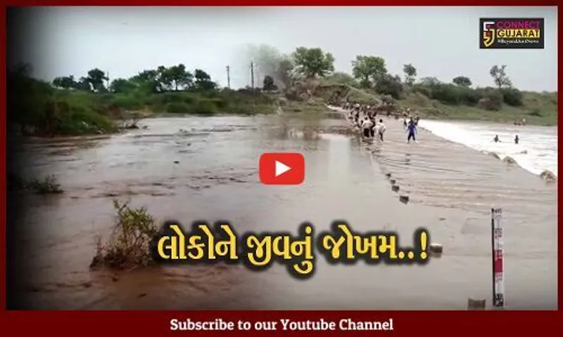 અમરેલી : ધોધમાર વરસાદ વરસતા શેત્રુંજી નદીમાં પૂર આવ્યું, કોઝ-વે પર પાણી ફરી વળતાં માર્ગ બંધ
