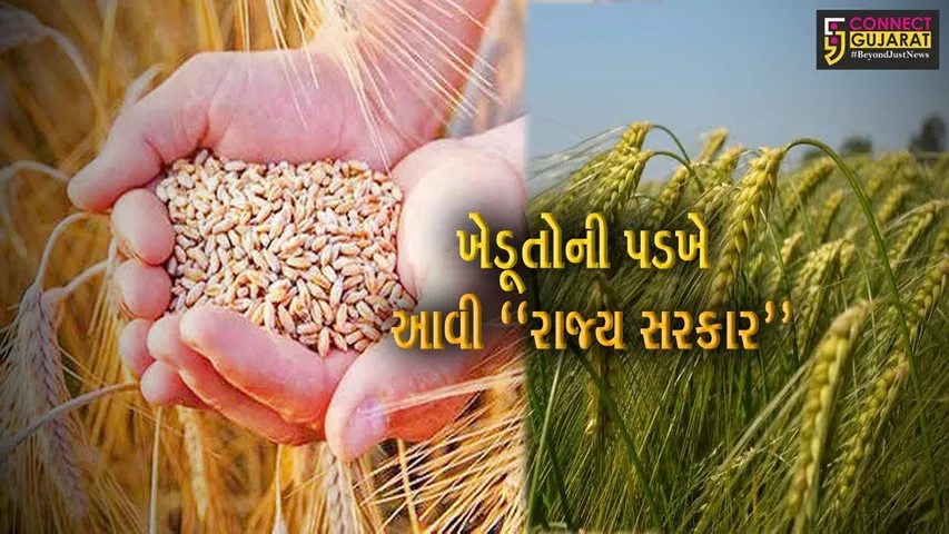 ગાંધીનગર : ગુજરાત રાજ્ય બીજ નિગમ દ્વારા 84 હજાર ક્વિન્ટલથી વધુ ઘઉં પાકના બિયારણનું વિતરણ કરાયું...