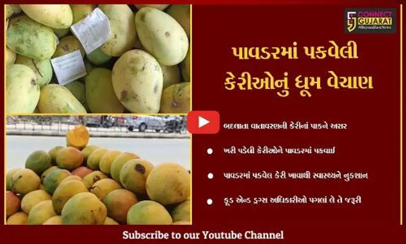 ભરૂચ : ખેતીવાડી ઉત્પન્ન બજાર સમિતિમાં પાવડરથી પકવેલી કેરીઓનું વેચાણ શરૂ, ફૂડ એન્ડ ડ્રગ્સ વિભાગ નિરીક્ષણ કરે તે જરૂરી.!
