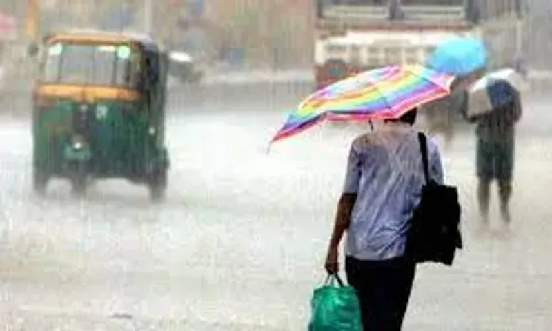 લાંબા વિરામ બાદ રાજ્યના અનેક જિલ્લાઓમાં વરસ્યો વરસાદ, સૌથી વધુ વાંસદામાં પોણા ચાર ઇંચ વરસાદ નોંધાયો