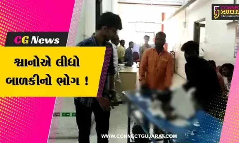 સુરત: શ્વાનોના આતંકના કારણે 2 વર્ષીય બાળકીનું મોત,બાળકી ગંભીર રીતે થઈ હતી ઘાયલ