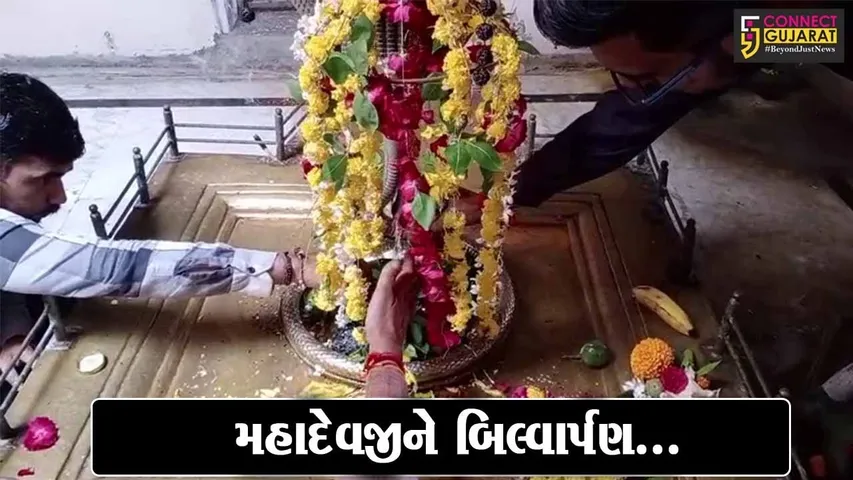 ભરૂચ : પવિત્ર શ્રાવણ માસના અંતિમ સોમવારે શ્રી પરશુરામ સંગઠન દ્વારા મહાદેવજીને બિલ્વાર્પણ કરી પૂજન-અર્ચન કરાયું...
