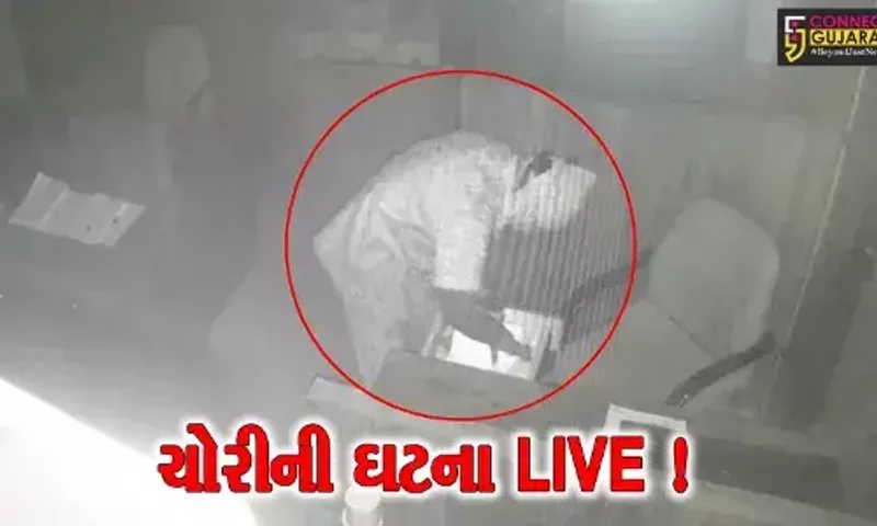 અંકલેશ્વર: એન્વાયરમેન્ટલ પ્રિઝર્વેશન સોસાયટીની બિલ્ડિંગમાં તસ્કરો ત્રાટક્યા,ચોરીની ઘટના CCTV કેમેરામાં કેદ