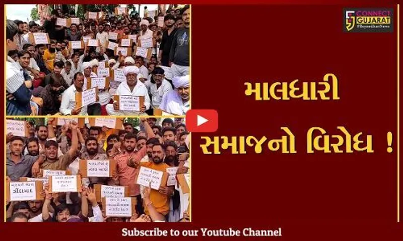 સુરત: રખડતા ઢોર પકડવાની કાર્યવાહી સામે માલધારી સમાજનો વિરોધ,જુઓ તંત્ર પર કેવા કરાયા આક્ષેપ