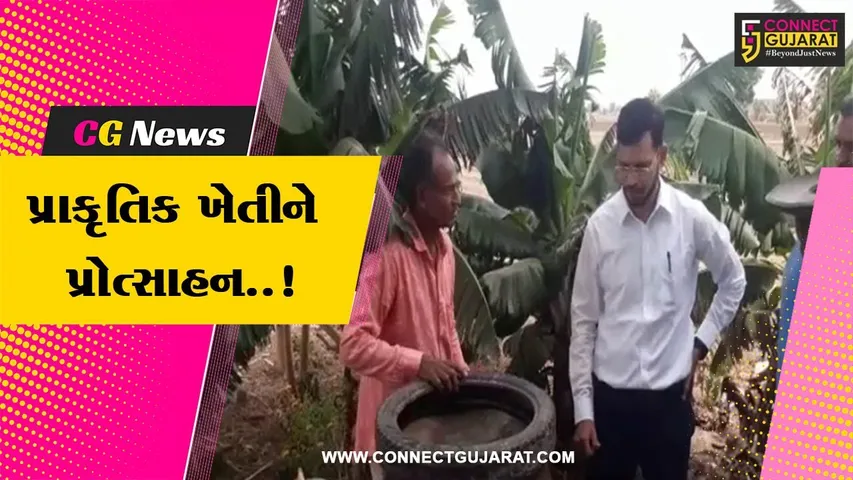 અમરેલી : વડીયાના ખેડૂતે બાજરીની પ્રાકૃતિક ખેતી થકી મેળવ્યું બમણું ઉત્પાદન, અન્ય ખેડૂતોને આપી પ્રેરણા