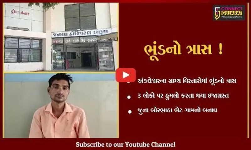 અંકલેશ્વર: જુના બોરભાઠા બેટ ગામે ખેતરમાં કામ કરતા ત્રણ લોકો પર ભૂંડે હુમલો કરતા ઇજાગ્રસ્ત