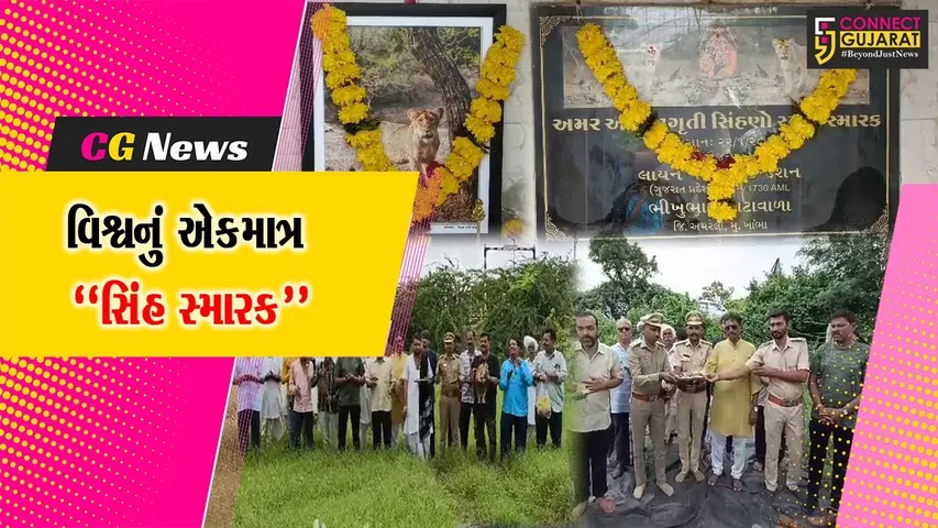 વિશ્વનું એકમાત્ર “સિંહ સ્મારક” : અમરેલીના ભેરાઈ ગામે સિંહનું અનોખુ મંદિર, સિંહ પ્રેમીઓ કરે છે સિંહ ચાલીસાનું પઠન...