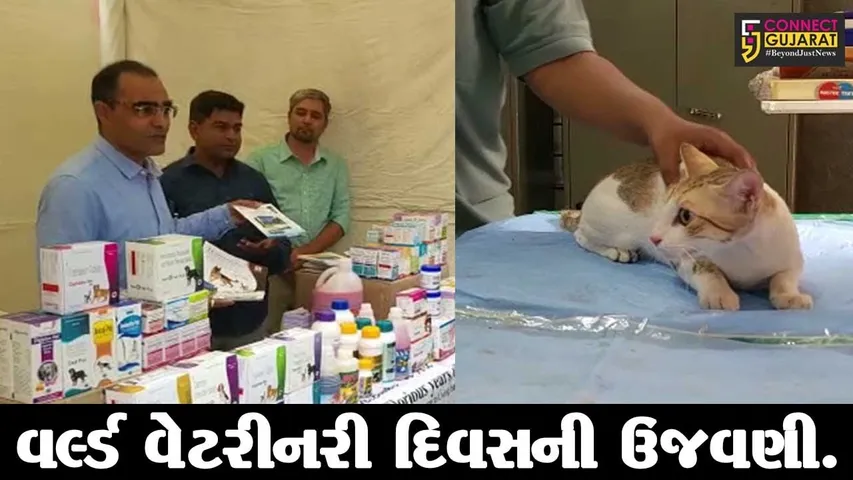 વડોદરા : પશુ સ્વાસ્થ્ય વિશે જાગૃતતા ફેલાવવાનો હેતુ, ભૂતડીઝાંપા વેટરનરી દવાખાને વર્લ્ડ વેટરીનરી દિવસની ઉજવણી…