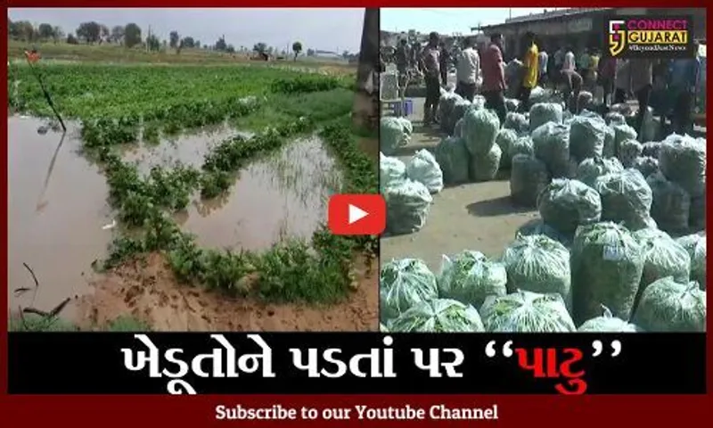 સાબરકાંઠા : ચોમાસાના પ્રારંભે જ શાકભાજીના ભાવમાં ઉછાળો