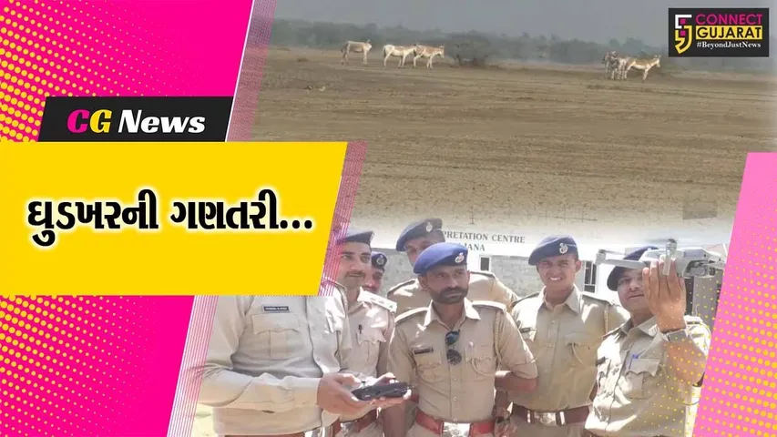 સુરેન્દ્રનગર : 10મી વખત ઘુડખર ગણતરી સંદર્ભે વન વિભાગના કર્મચારીઓની તાલીમ શિબિર યોજાય...
