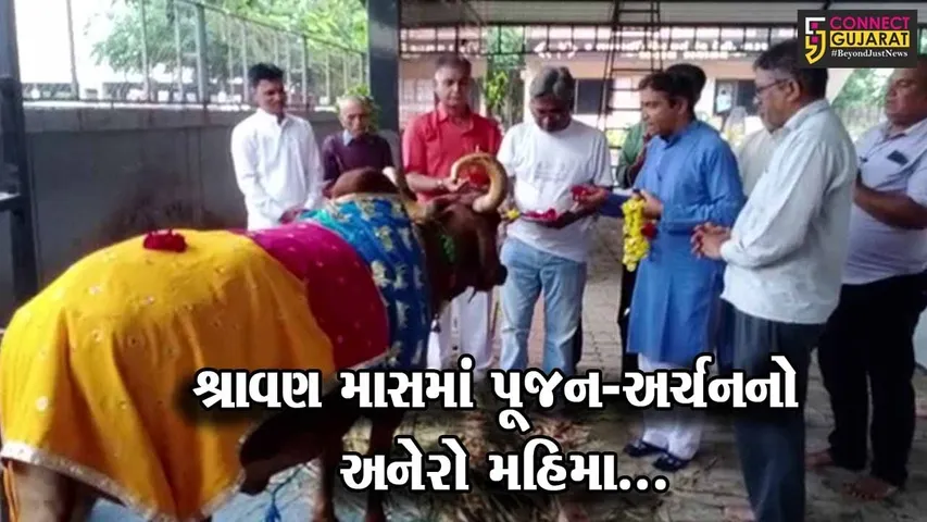 ભરૂચ : શ્રી પરશુરામ બ્રહ્મસમાજ સંગઠન દ્વારા પાંજરાપોળ ખાતે ગૌપૂજન-ઔદુમ્બર વૃક્ષની પૂજા કરાય...