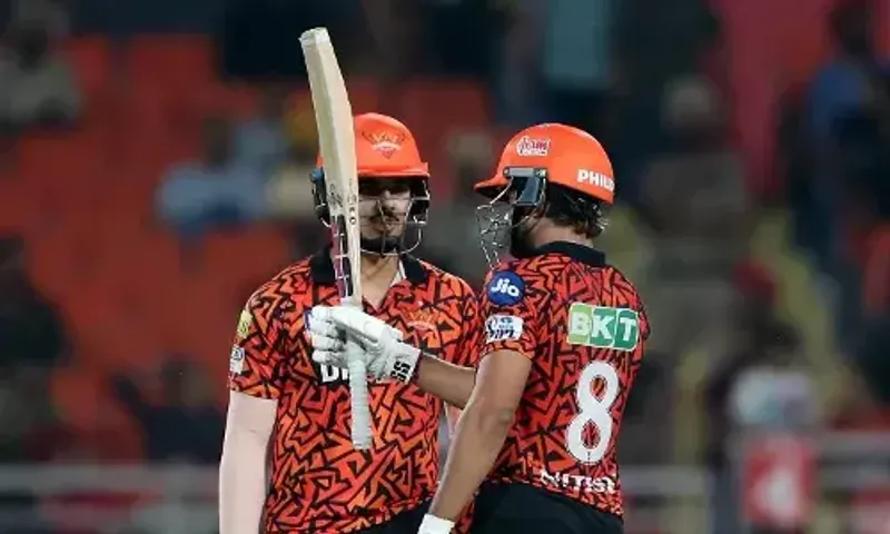 IPL: ભારે રસાકસી ભરી મેચમાં હૈદરાબાદે પંજાબને હરાવ્યું,નીતીશ રેડ્ડીએ 64 રન ફટકાર્યા