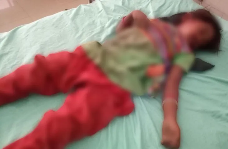 ભરૂચના કેલોદ પીપળીયા ગામે માસુમ બાળકી પર શ્વાનનો હુમલો