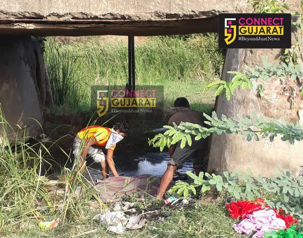 અંકલેશ્વરના ભાદી ગામે મહિલાનો મૃતદેહ મળી આવતા અરેરાટી વ્યાપી