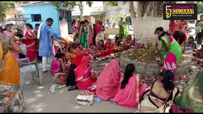 કુટુંબની સુખશાંતિ માટે સૌભાગ્યવતી સ્ત્રીઓ દ્વારા વટસાવિત્રી વ્રતની ધાર્મીભીની ઉજવણી