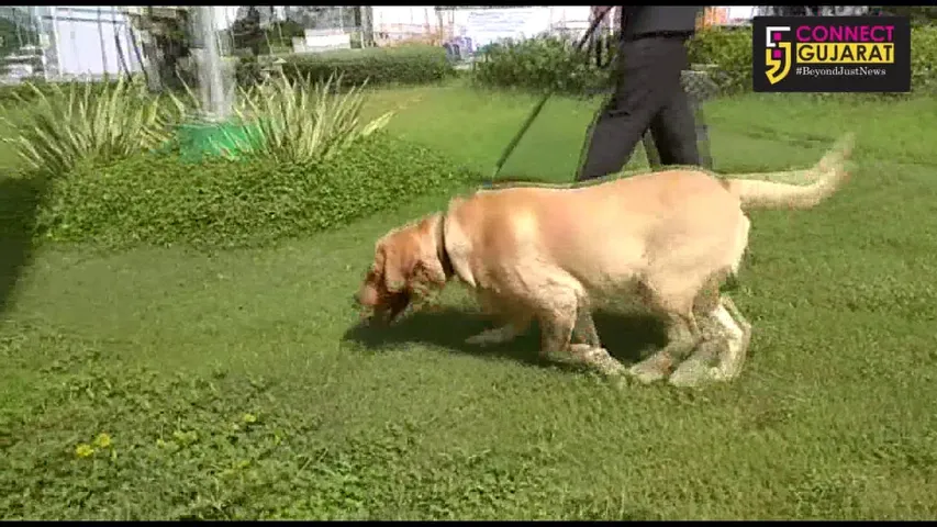 વડોદરામાં વડા પ્રધાન નરેન્દ્ર મોદીનાં આગમન તાણે સુરક્ષા એજન્સીઓ સતર્ક