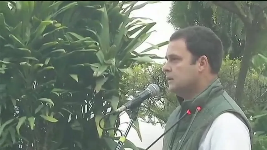 કોંગ્રેસનાં 133માં સ્થાપનાં દિવસની દિલ્હીમાં ઉજવણી કરાઈ