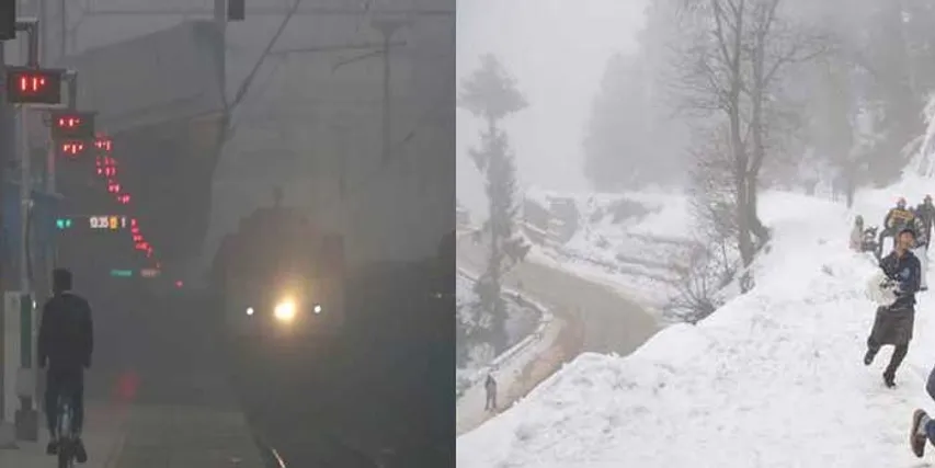 ઉત્તર ભારતમાં ગાઢ ધુમ્મસનાં કારણે  500 થી વધુ ફલાઈટ અને 400 ટ્રેનોને અસર