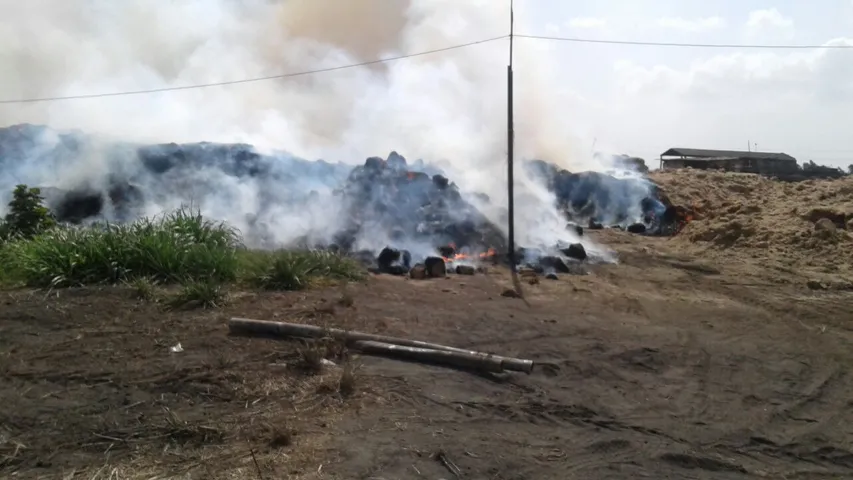 વાલીયાઃ ગણેશ સુગરના બગાસના ઢગલામાં લાગી આગ, કર્મચારીઓમાં થઈ દોડધામ