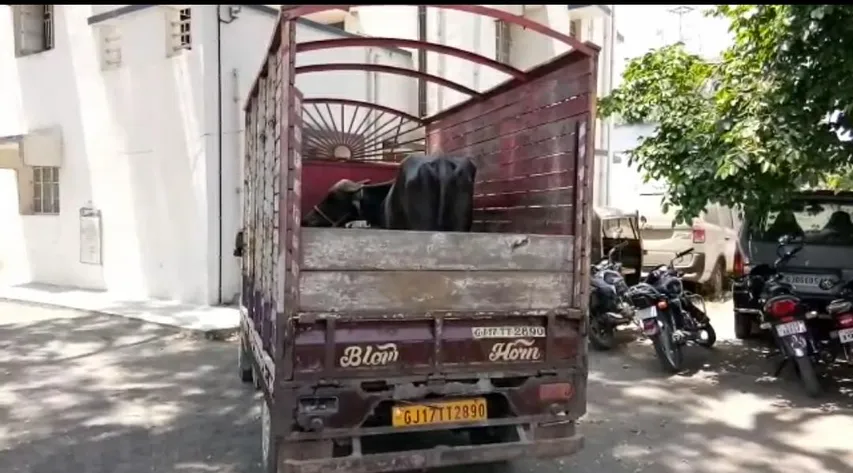 પંચમહાલનાં વેજલપુરમાં ગૌવંશ લઈ જતાં ટેમ્પોનો પીછો કરતાં પોલીસ ઉપર ટોળાનો હુમલો