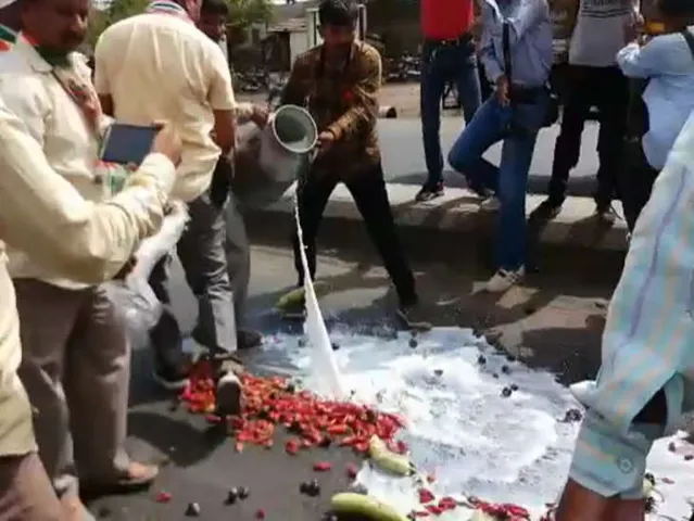 રાજકોટમાં ખેડૂતોએ રસ્તા પર દૂધ-શાકભાજી ફેંકી કર્યો વિરોધ : ચકકા જામનો પ્રયાસ