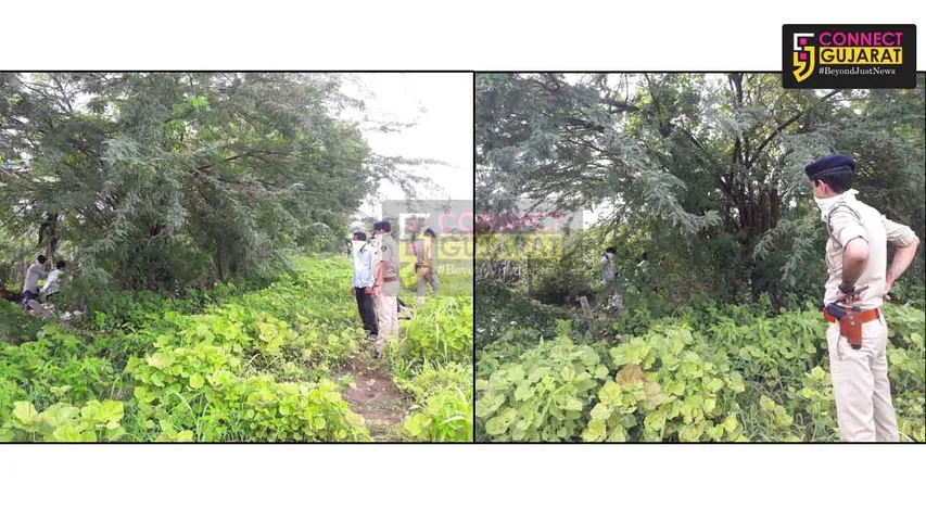 અંકલેશ્વરના આંબોલીગામની સિમના ખેતર માંથી મળી ઝાડ પર લટકતી યુવાનની લાસ!