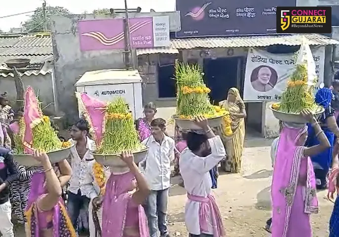 ભરૂચઃ નવરાત્રીનાં પ્રથમ દિવસે વાવેલા જવારાનું પરંપરાગત રીતે કરાયું વિસર્જન