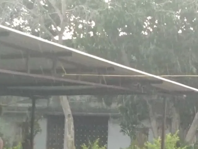 અમરેલીઃ પવનના સુસવાટા સાથે ધોધમાર વરસાદ, ખેડૂતો ચિંતામાં