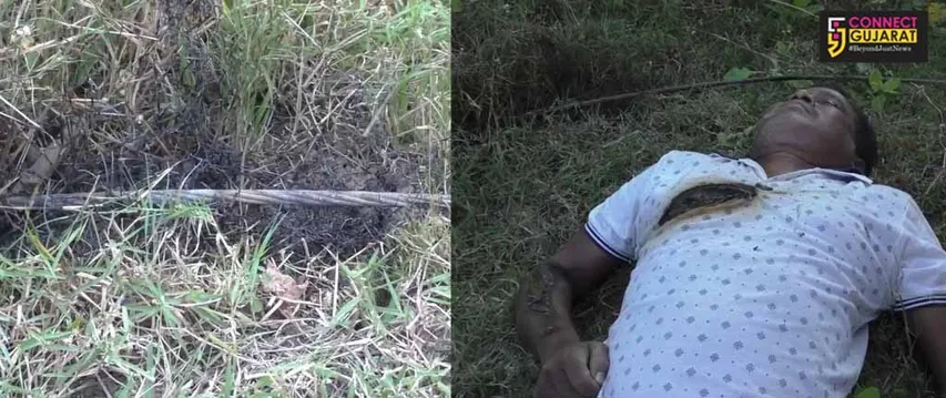 વલસાડઃ 11 KVનો જીવંત વીજતાર તૂટી પડતાં એકનું મોત, વીજ કર્મીઓ સ્થળ પર દોડ્યા